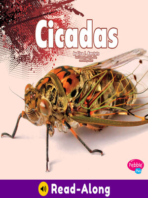 cover image of Cicadas